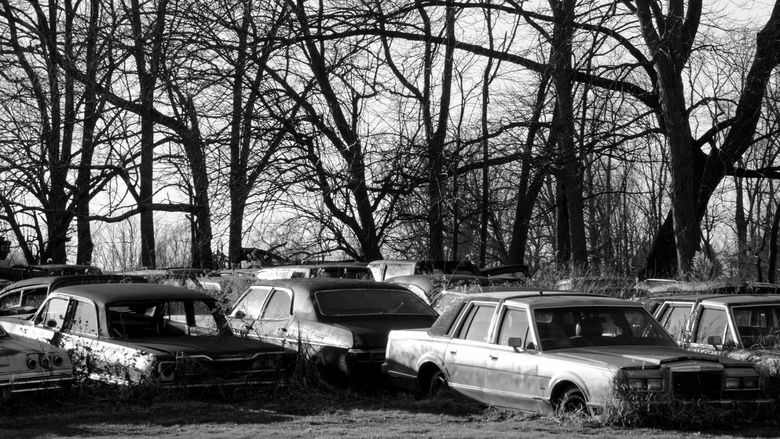 Old cars under trees