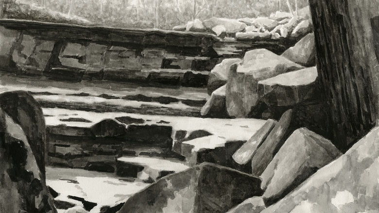 Black and white illustration of rocks and tree trunks in a forest 