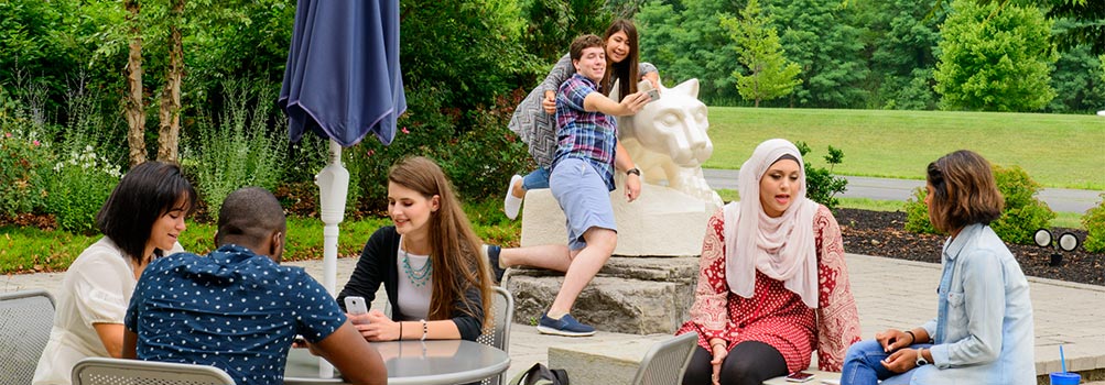 Students at Penn State Lehigh Valley