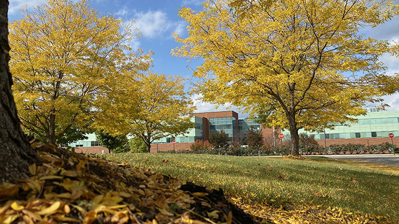 Penn State University Lehigh Valley campus in the fall, trees with yellow leaves in the foreground