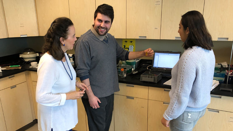 Three people conducting research by computer screen