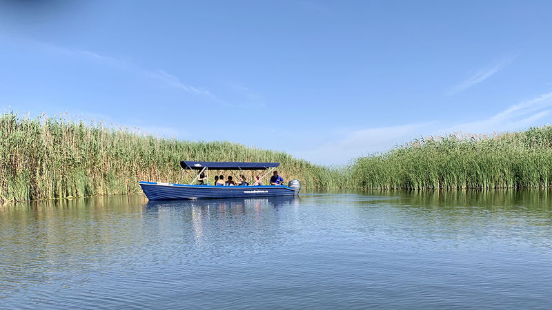 Students in a boat on blue water with reeds behind them.