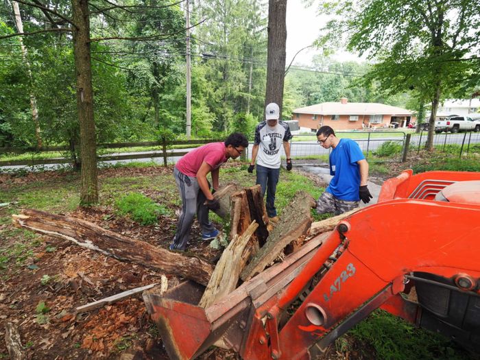 Three male students cutting wood on farm