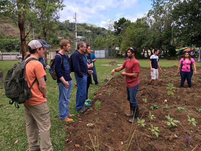 A group of students observe sustainable farming in Puerto Rico
