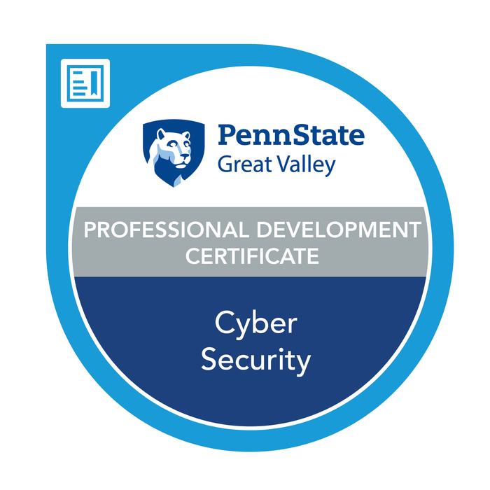 Cyber Security Web Badge