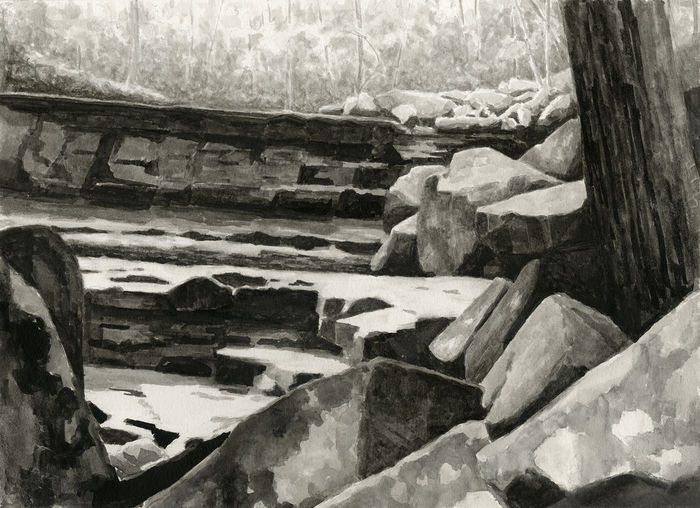 Black and white illustration of rocks and tree trunks in a forest 