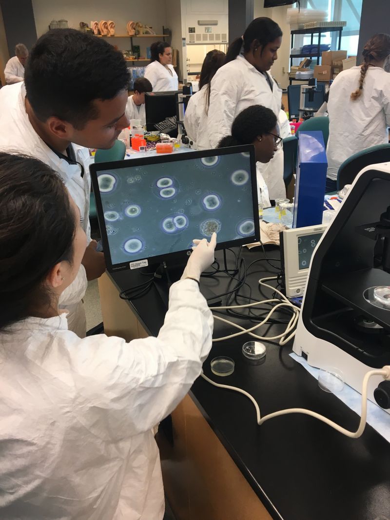 students in lab looking at a screen