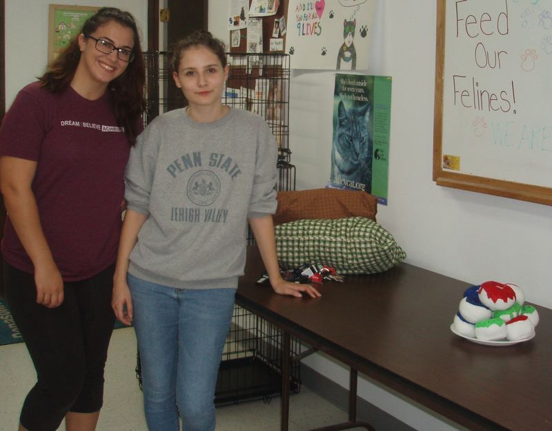 Students pose while volunteering