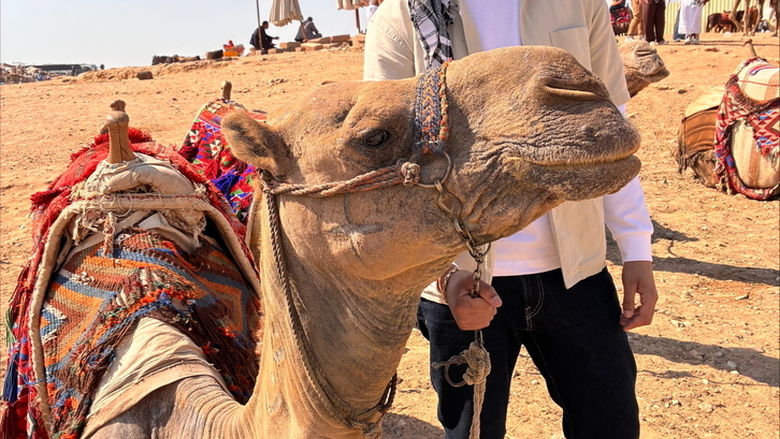 A student poses next to a camel 