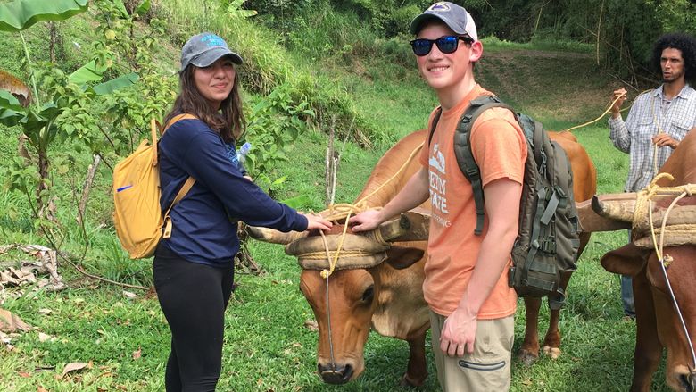 Destiny Mercado on left with a team of oxen