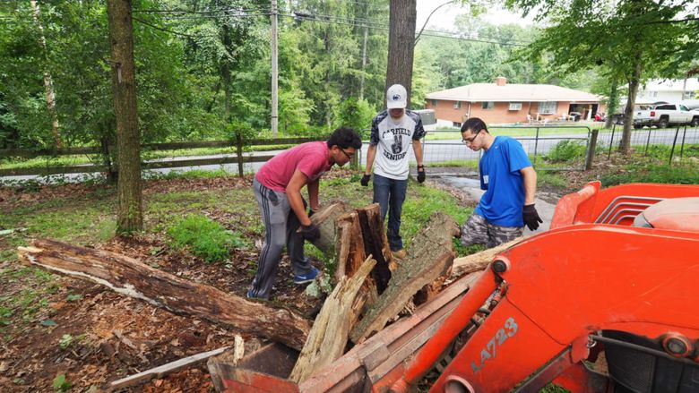 Three male students cutting wood on farm