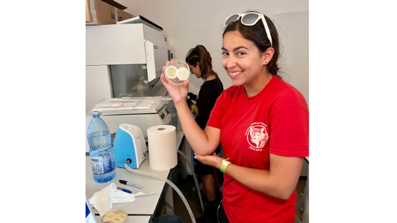 PSU-LV student, Allison Lonkart working with water samples in the lab 