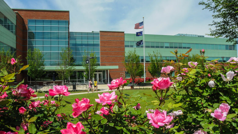 Penn State Lehigh Valley Campus in the background, a hedge of pink roses in the foreground.
