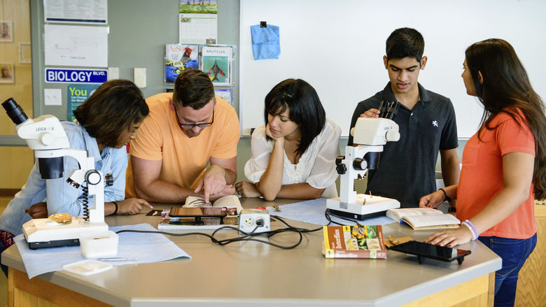 students studying in lab