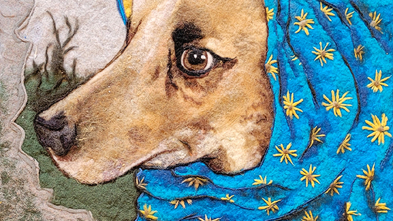 Image of tan dog with worried expression wearing a blue and yellow scarf around neck and head
