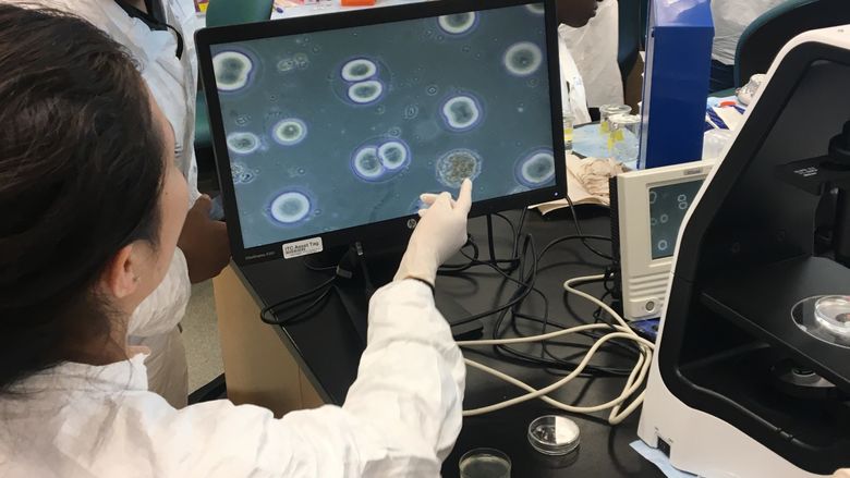 students in lab looking at a screen