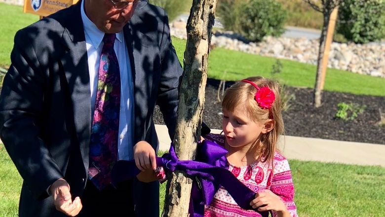 Kathy's husband and granddaughter tied a purple ribbon around her memorial tree