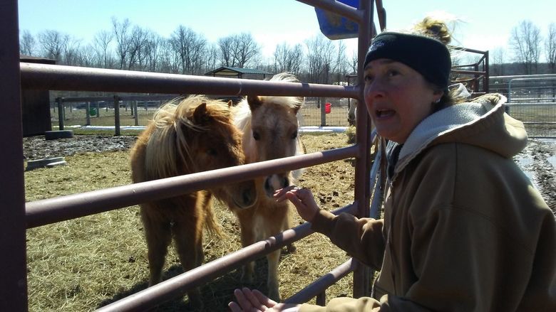 a woman feeding a pony