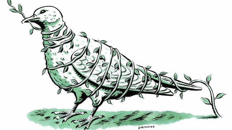 An illustration of a dove holding a leaf in its beak with the vine wrapped around it's body.