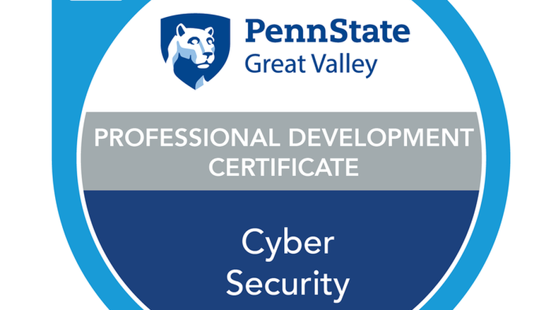 Cyber Security Web Badge