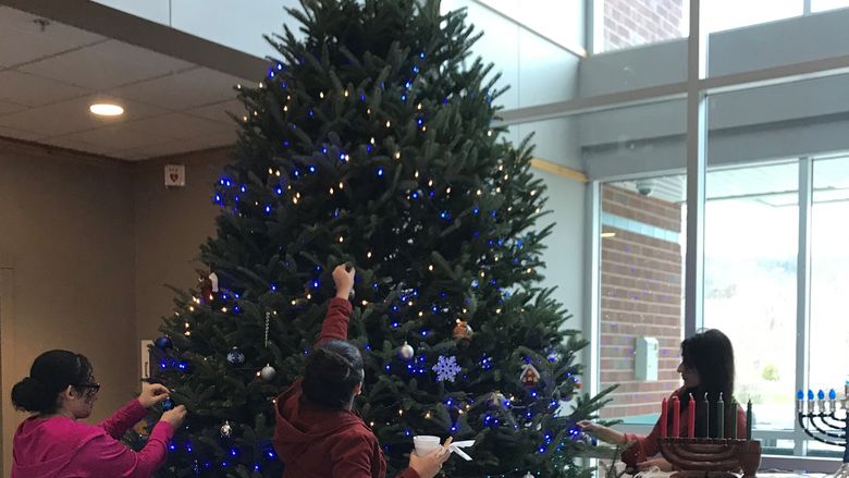 Students hanging ornaments on a tall Christmas tree.