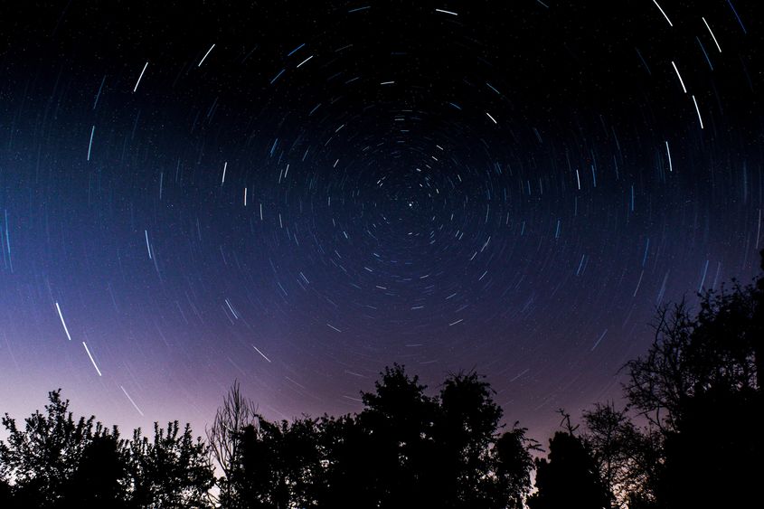 photograph of night sky with many stars and dark trees in foreground