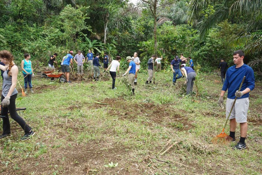 Students researching in a field 