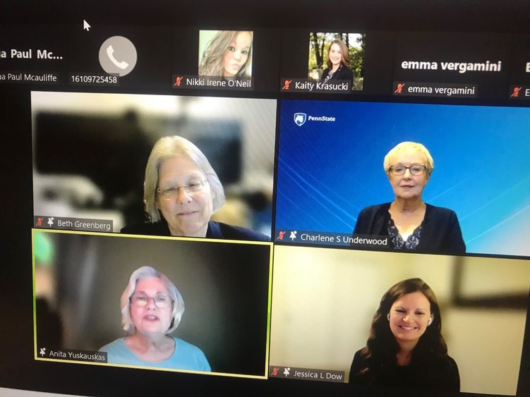 Panelists at HPA Careers Night speak on Zoom