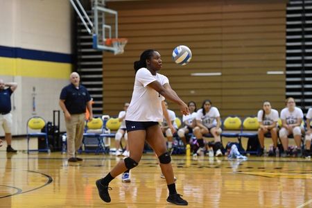 woman playing volleyball